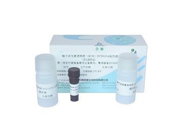 DCFH-DA Staining Sperm Specimen Male Fertility Test Kit Hydrogen Peroxide Detection